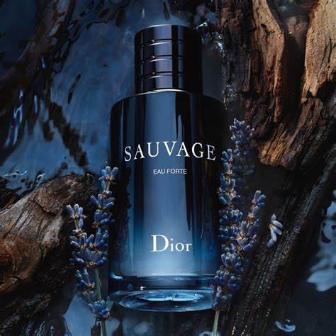 profumo che si ispira a dior intense|Sauvage Eau Forte Profumo senza alcol – Note fresche e intense .